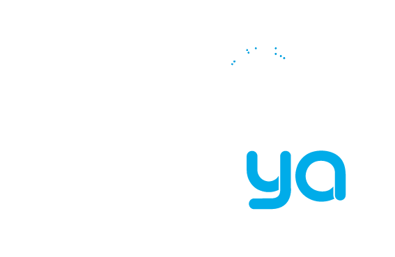 Kundenportal - NAVAYA GmbH